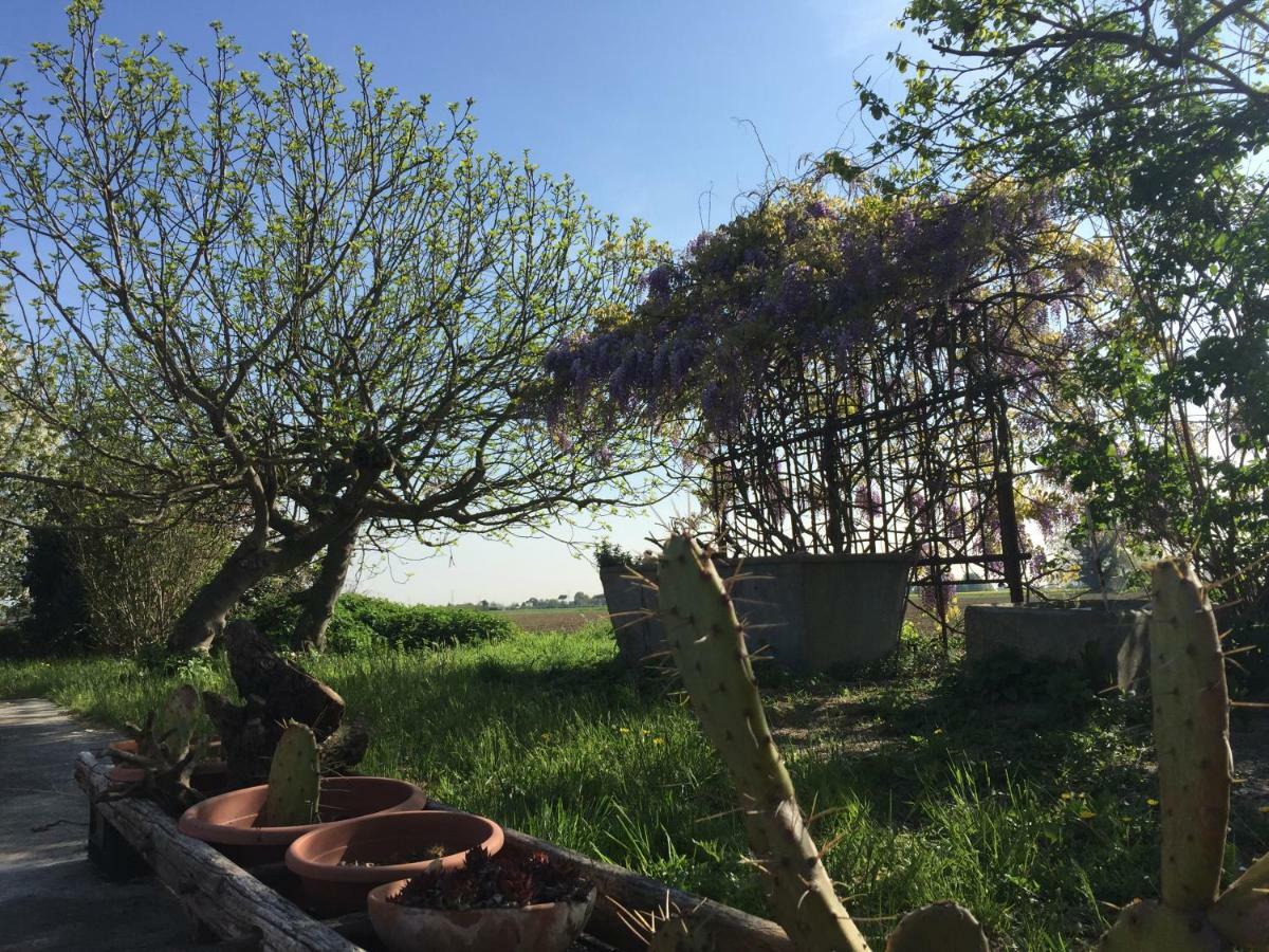 Bed & Breakfast Il Rudere Ravenna
